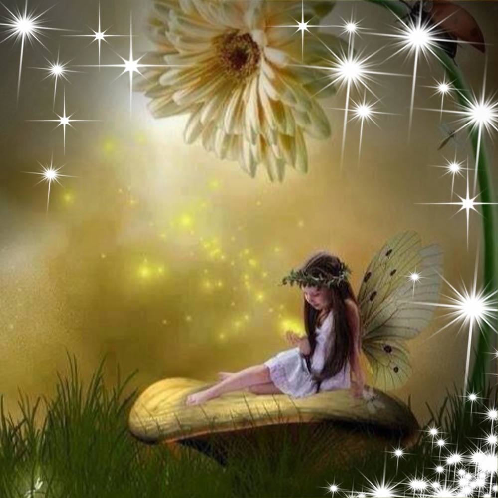 Meet your Posher, Carla